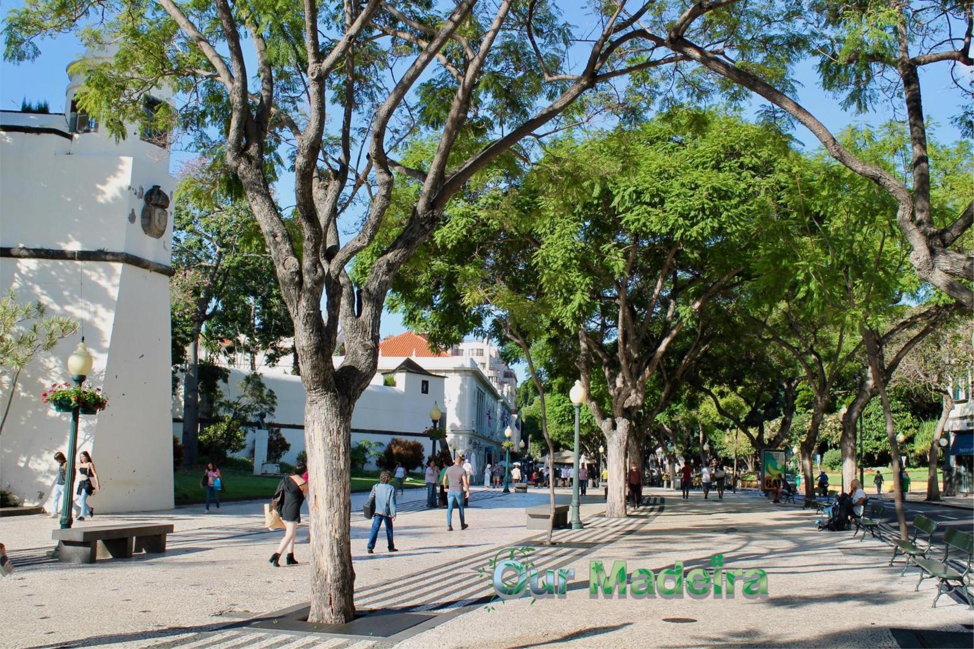 Zona Velha VIII by An Island Apart Funchal (Madeira) Exterior foto