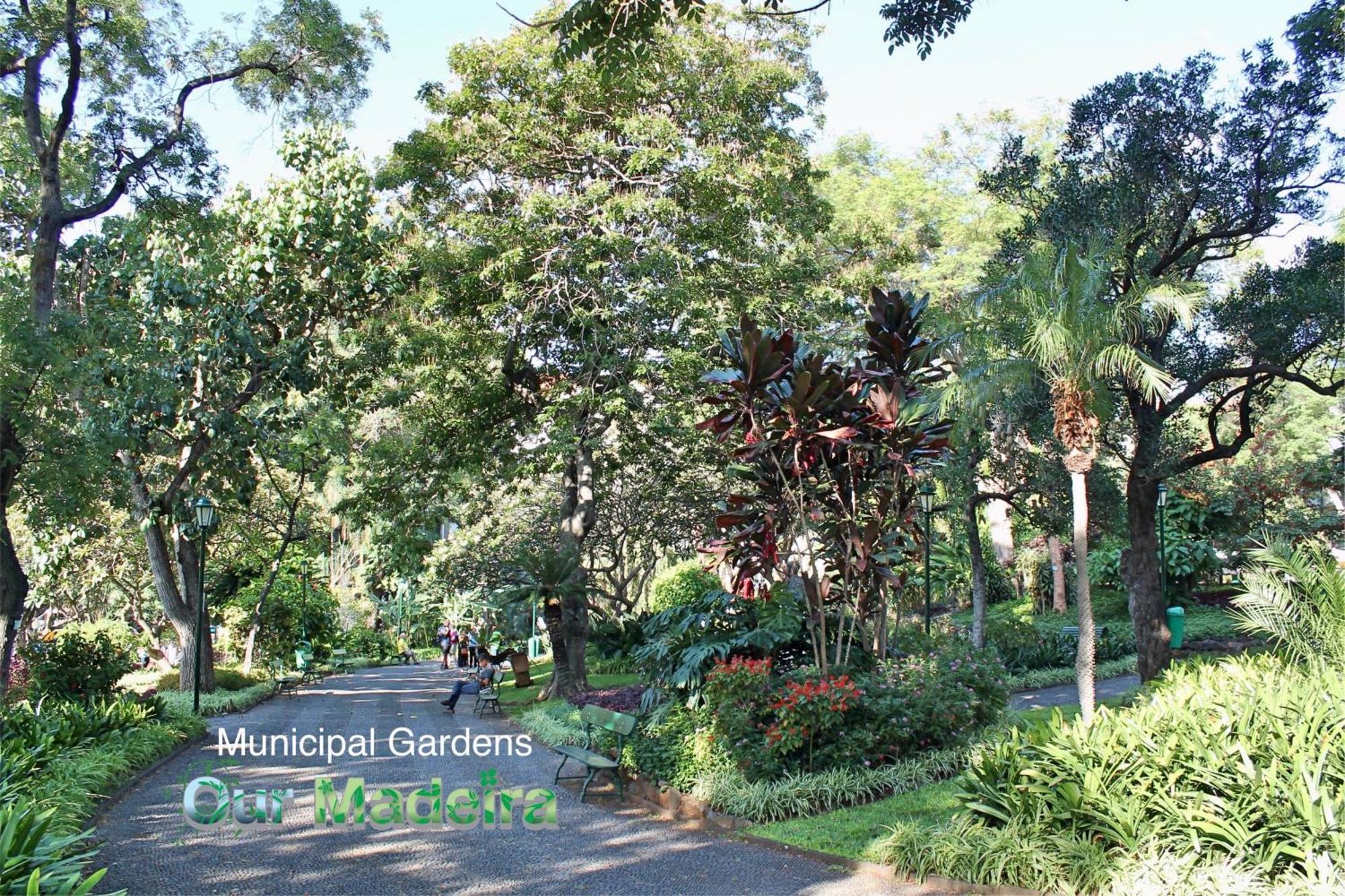 Zona Velha VIII by An Island Apart Funchal (Madeira) Exterior foto